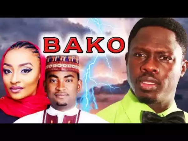 Bako - This Love Story Will Make You Fall In Love - Hausa Movies 2019